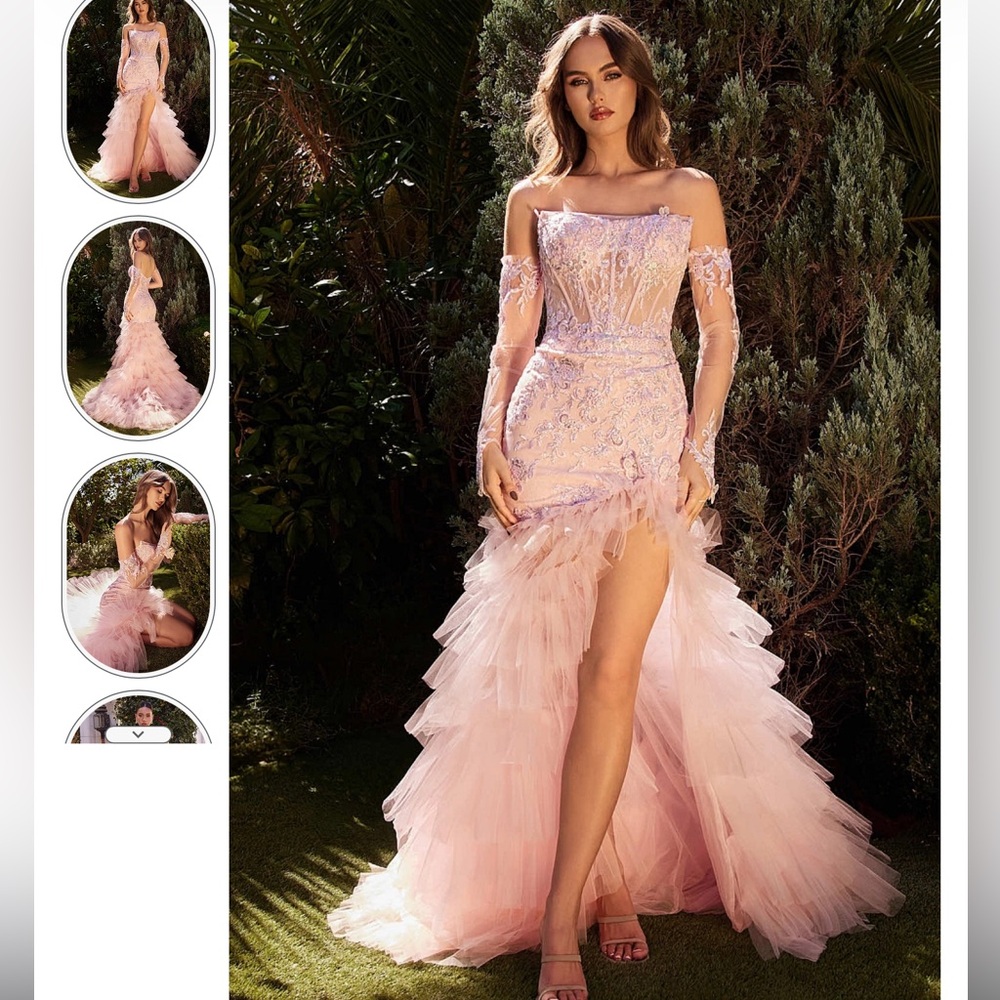 Andrea and Leo Gown